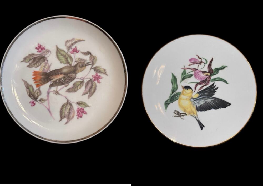 Schumann Arzberg Bavaria Bird Porcelain Plate and Other Bird Plate Cottagecore